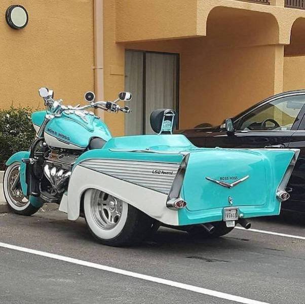 Daily Picdump