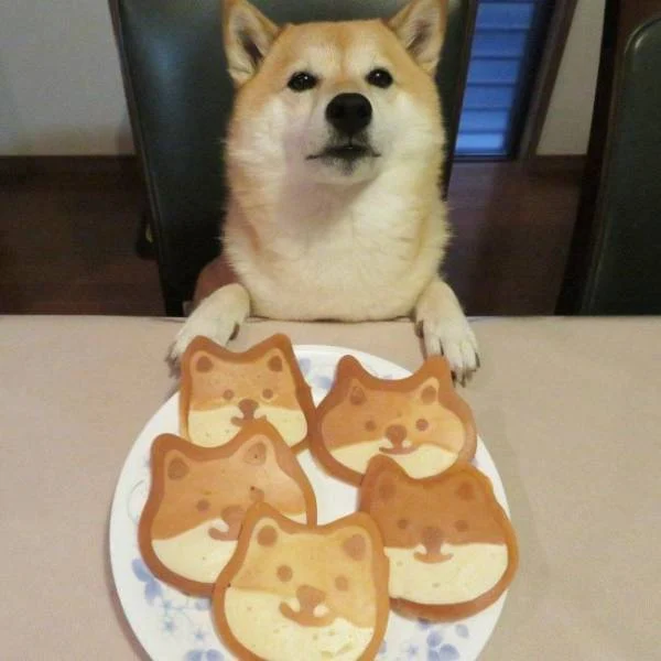 Content Image