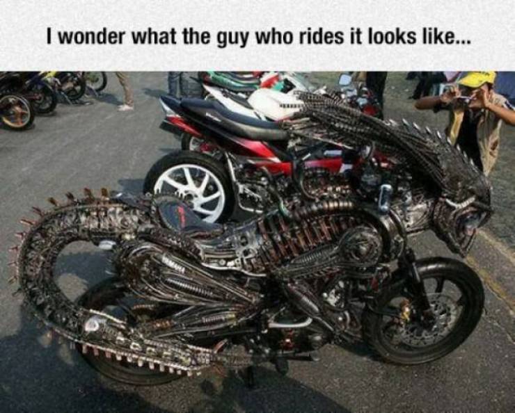 Girls Who Love Bikes