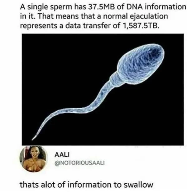 NSFW Memes To Add Some Spice To Your Life