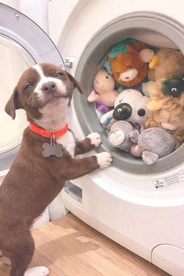 Daily Picdump