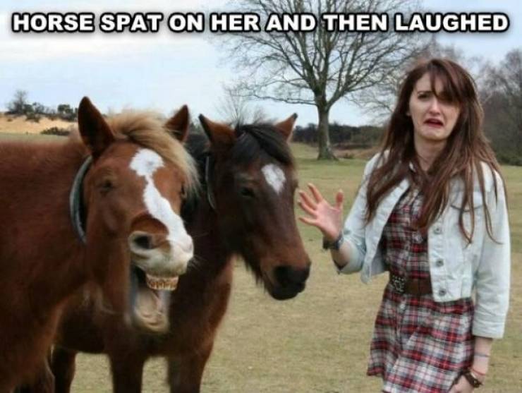 Girls Who Love Horses