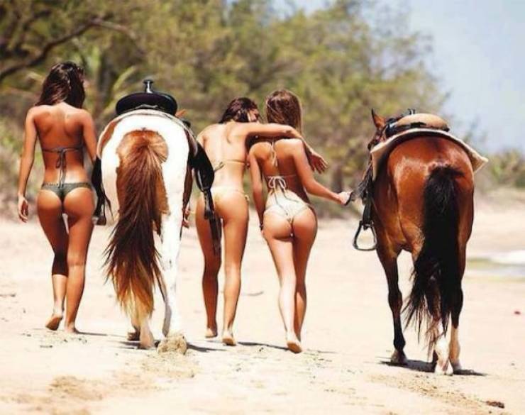 Girls Who Love Horses