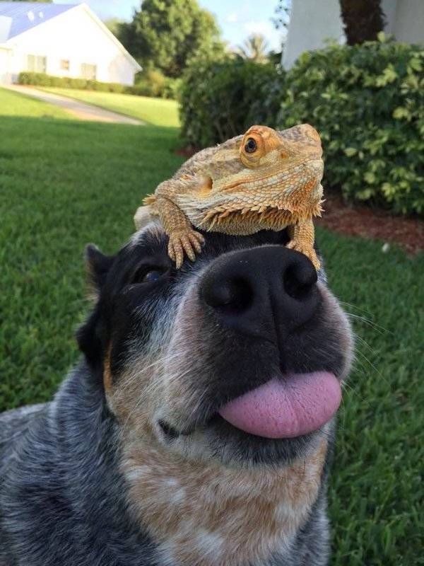 Daily Picdump