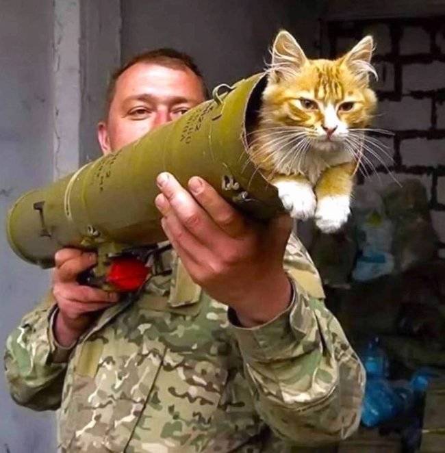 Content Image