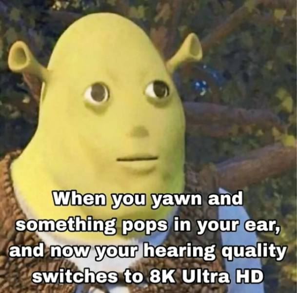 So Dank It Should Be Illegal