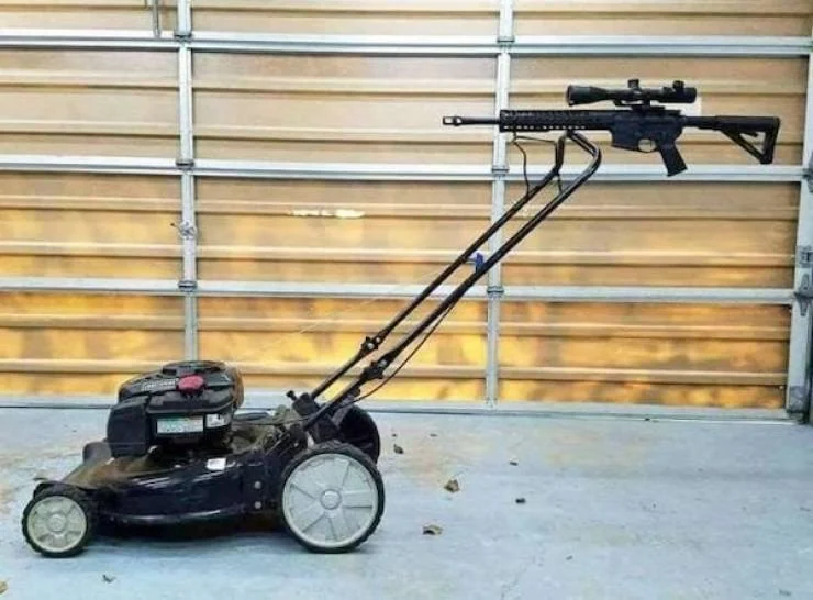 Content Image