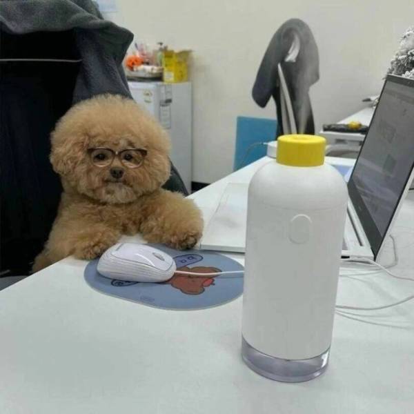 Content Image
