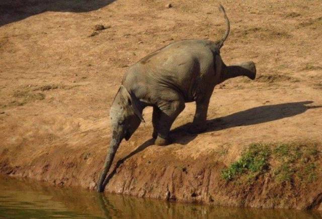 Daily Picdump