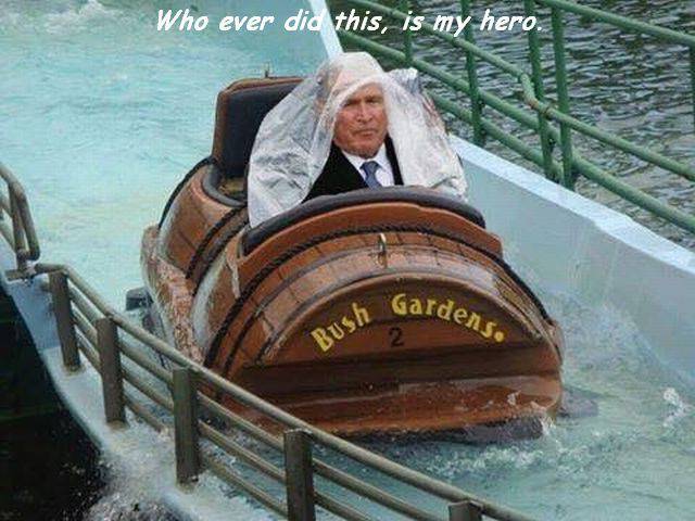 Daily Picdump