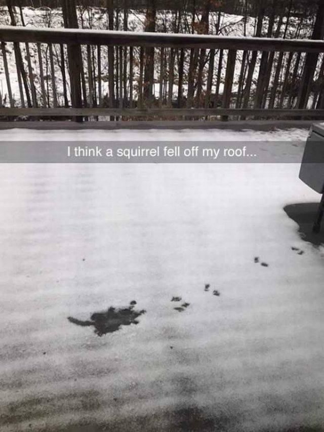 Content Image