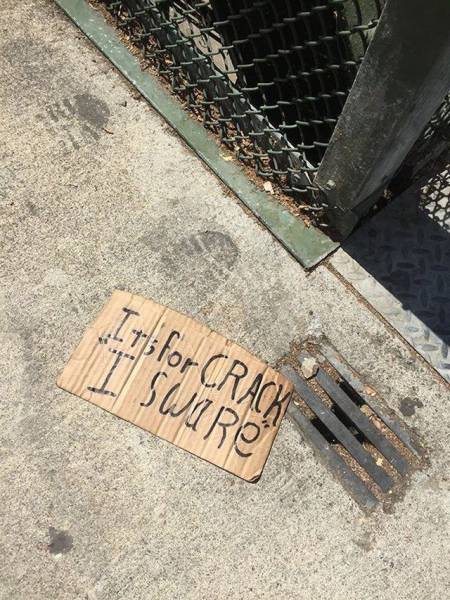 Content Image