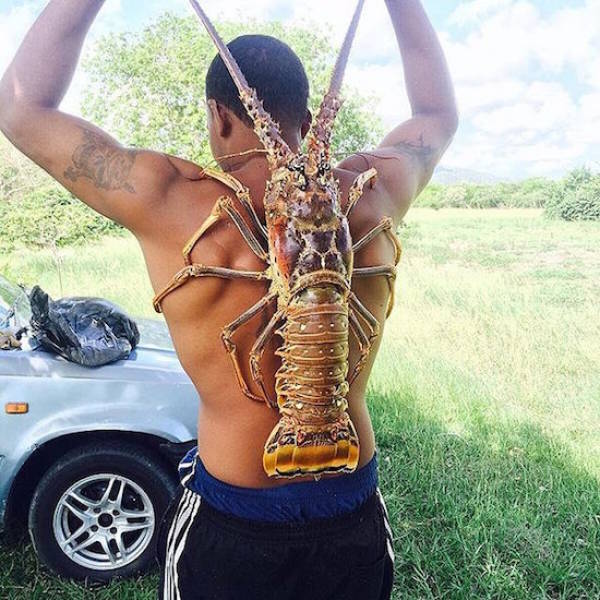 Morning Picdump