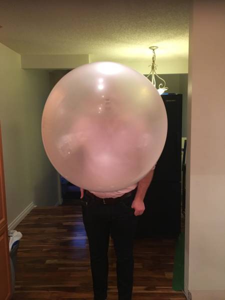 Content Image