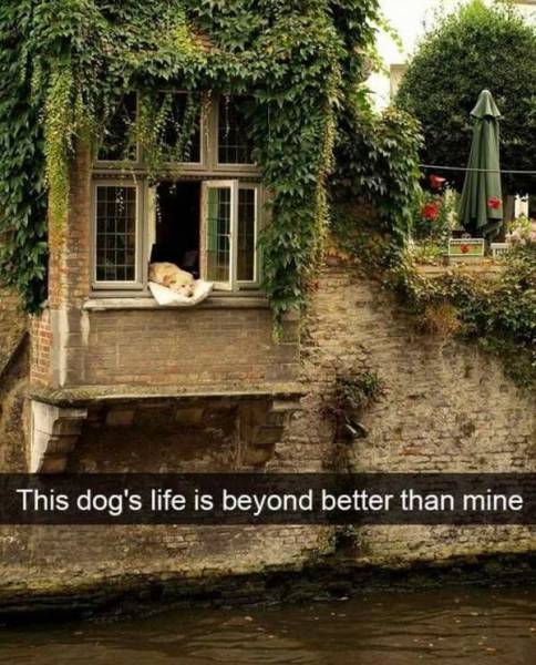 Daily Picdump