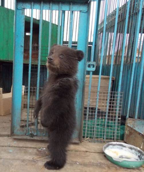 Daily Picdump
