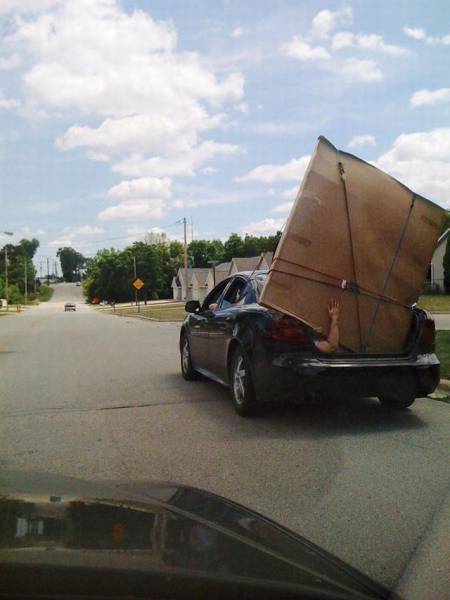 Daily Picdump