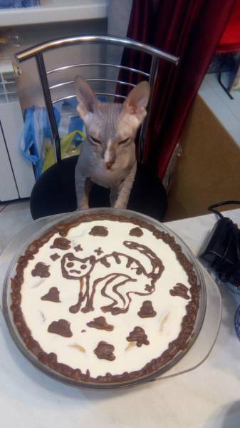 Daily Picdump