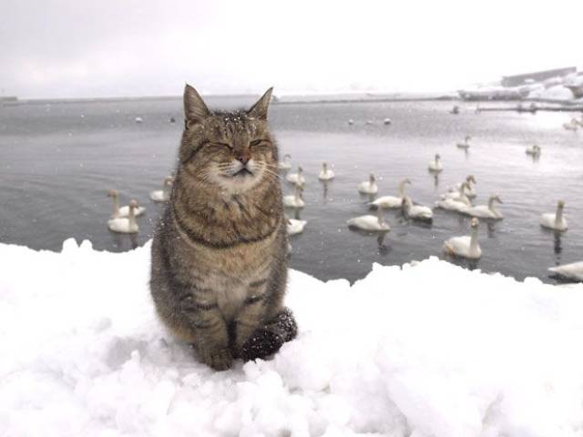 Daily Picdump