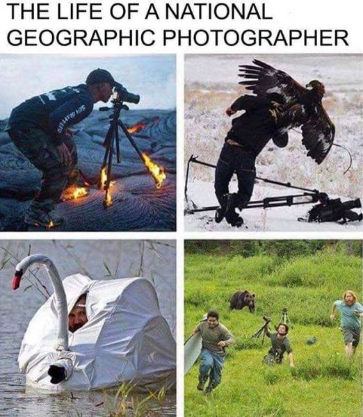 Daily Picdump