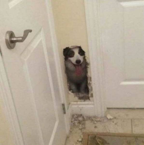 Daily Picdump