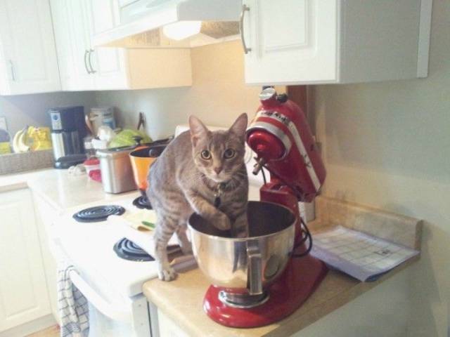 Content Image