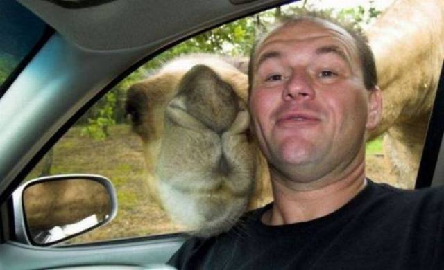 Content Image