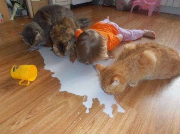 Content Image