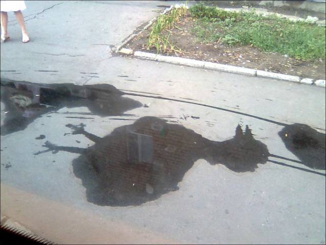 Content Image