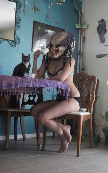 Content Image