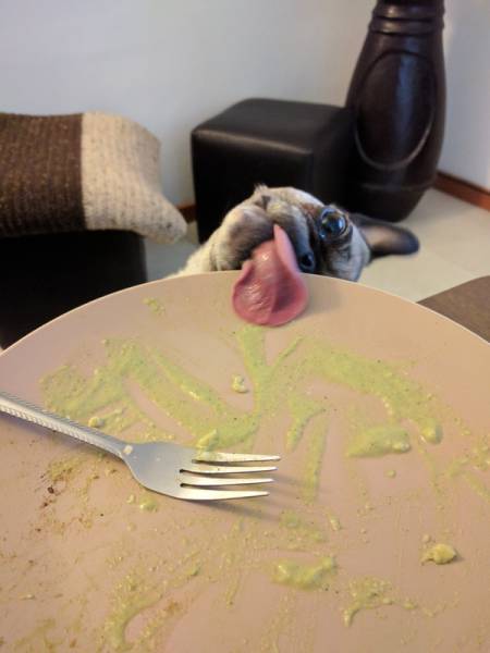 Morning Picdump