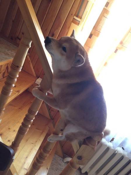 Morning Picdump