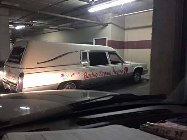 Morning Picdump