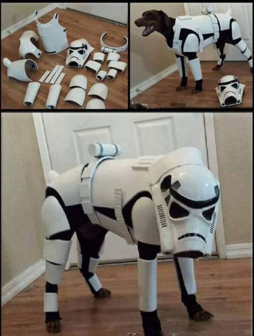 Content Image