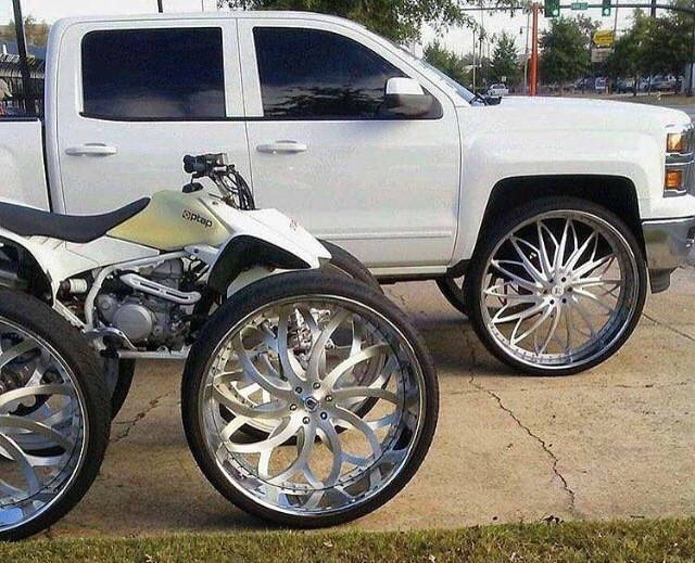 Content Image