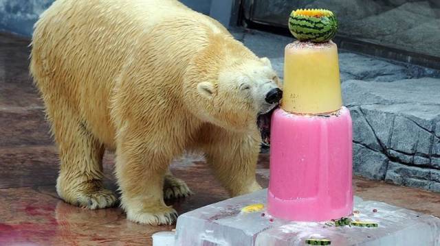 Daily Picdump