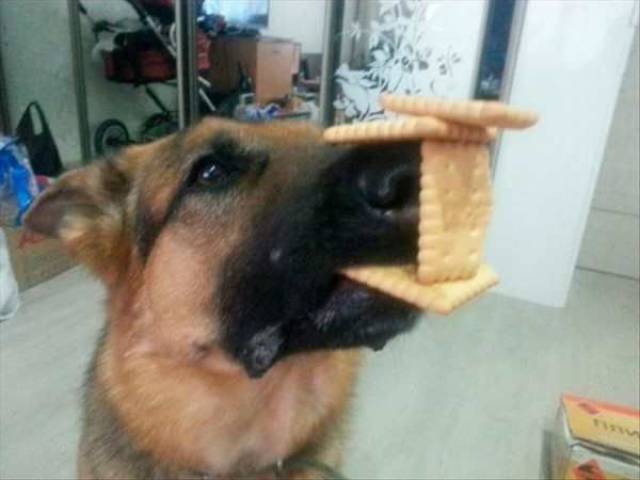 Content Image