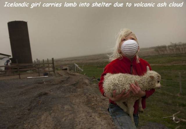 Content Image