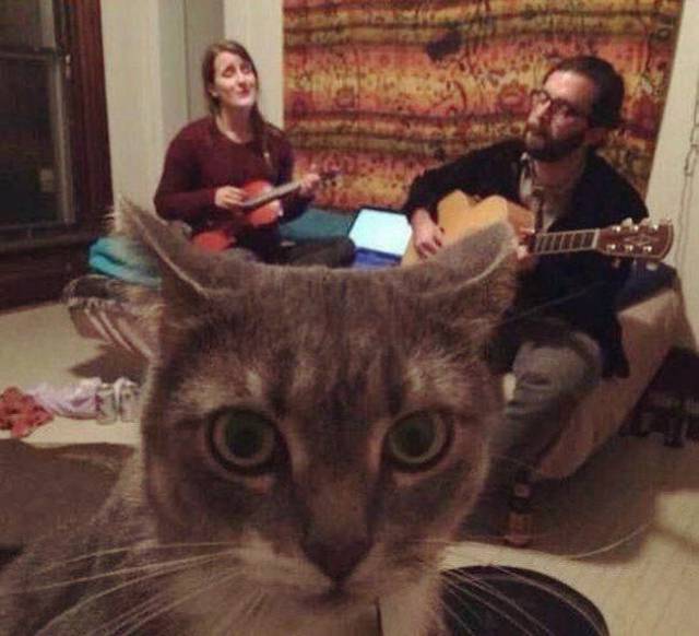 Content Image