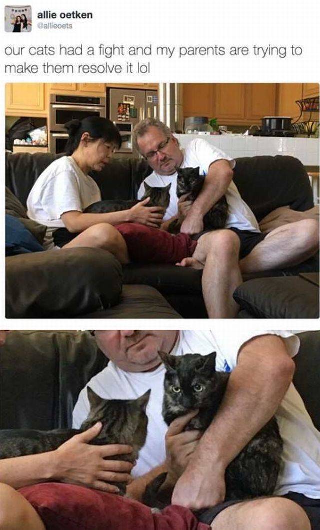 Content Image