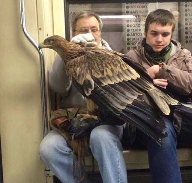 Content Image