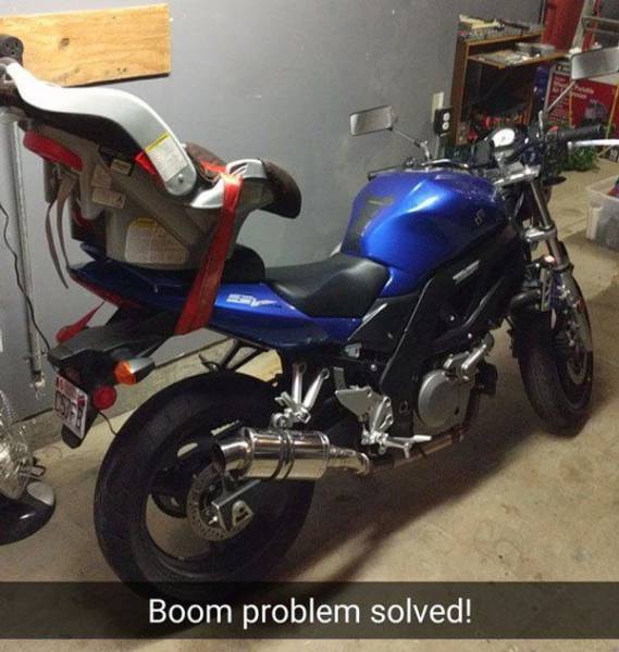 Daily Picdump