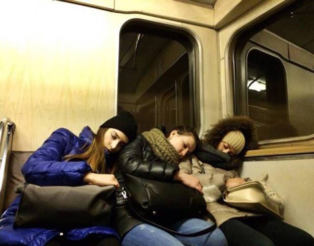 Daily Picdump