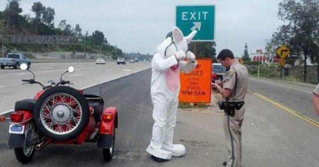 Daily Picdump