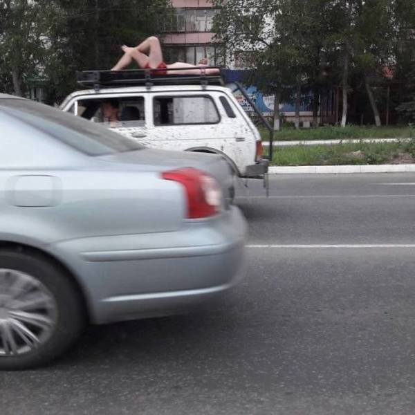 Daily Picdump