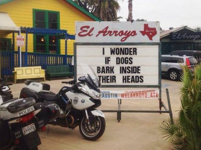 Daily Picdump