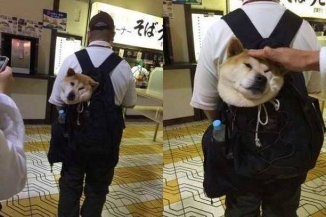 Content Image