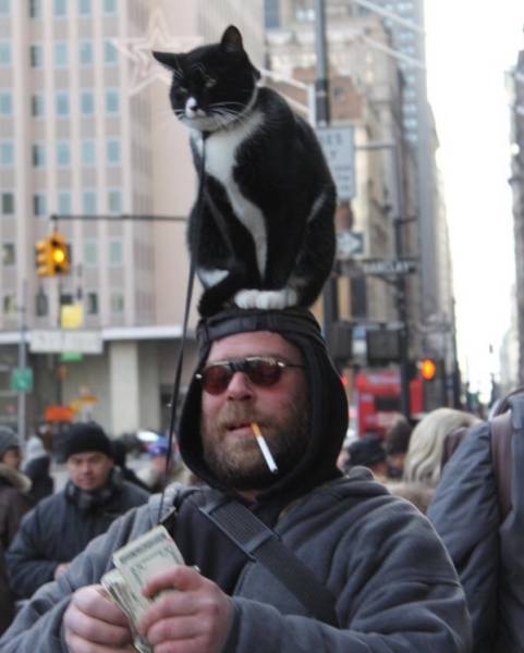 Morning Picdump