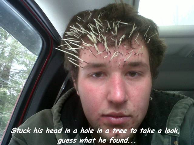 Content Image