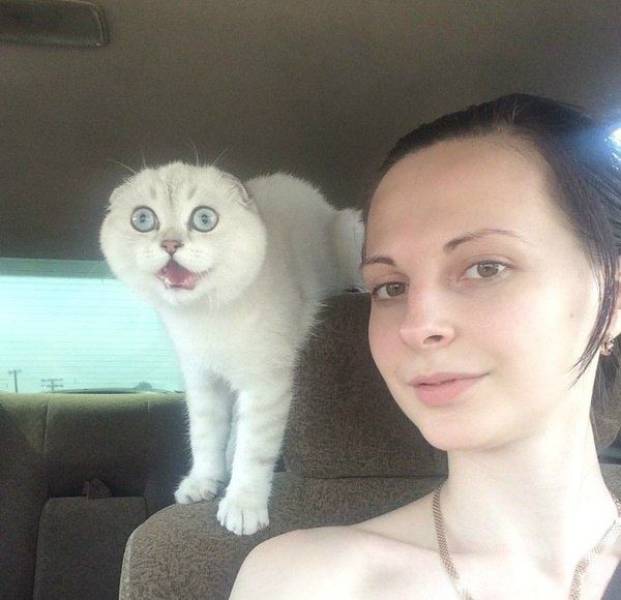 Content Image